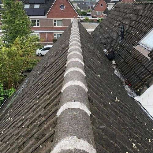 Dakinspectie Dieren aan de nokvorsten