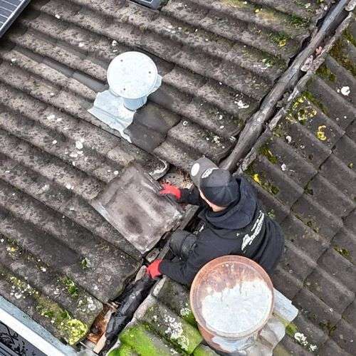 Het opnieuw vastleggen van dakpannen in Dieren
